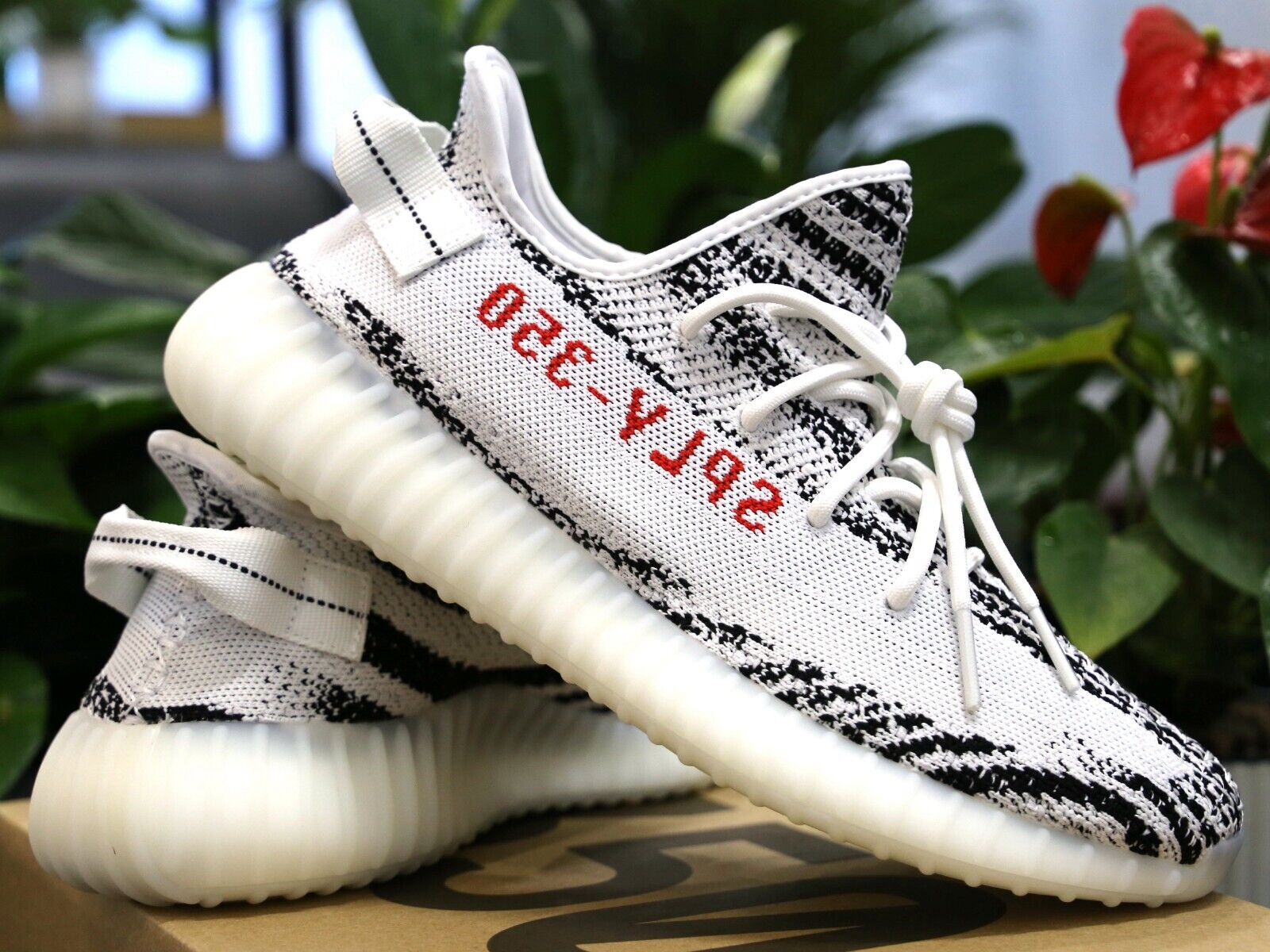 Adidas Yeezy 350 V2 Zebra