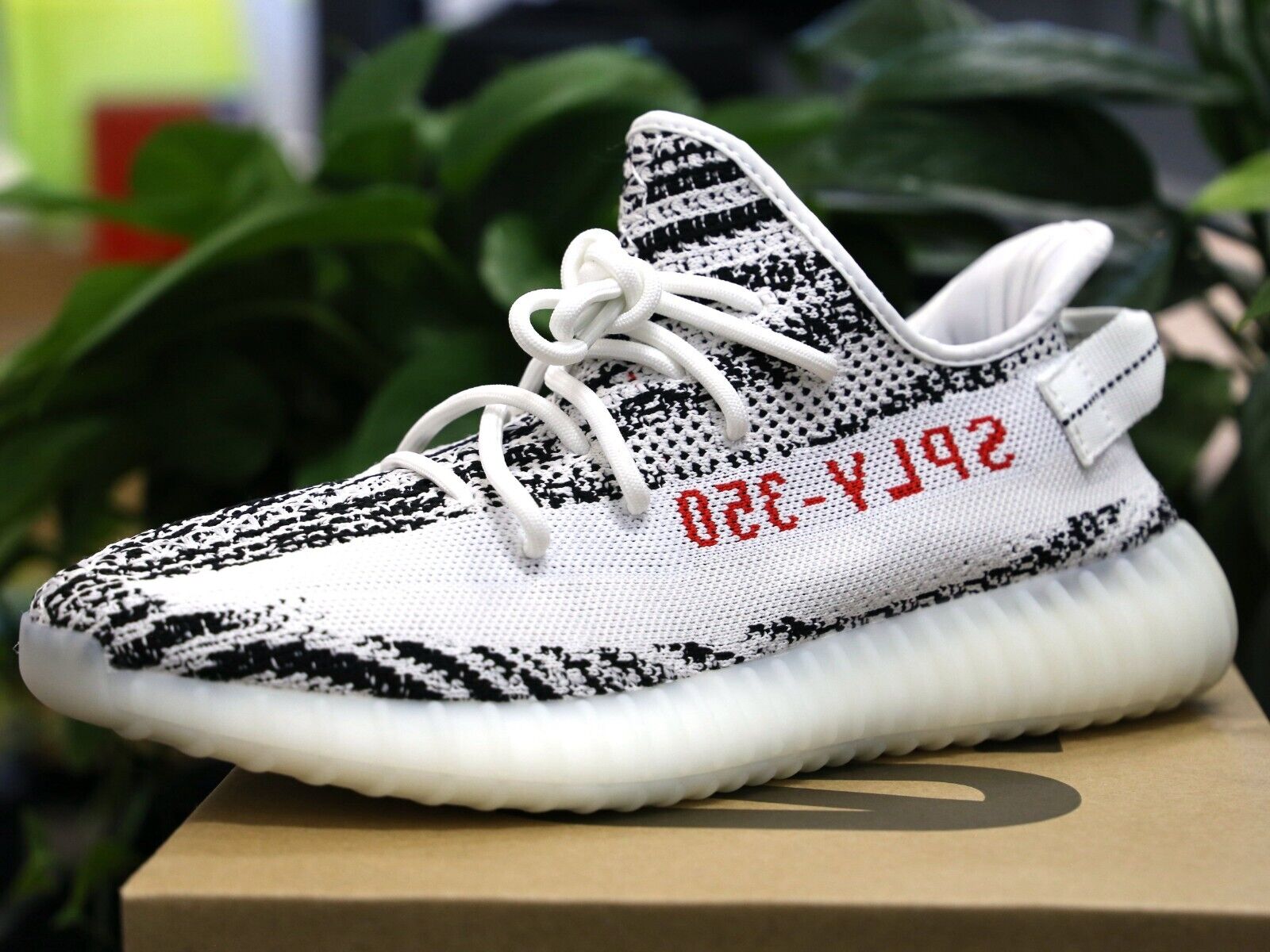 Adidas Yeezy 350 V2 Zebra